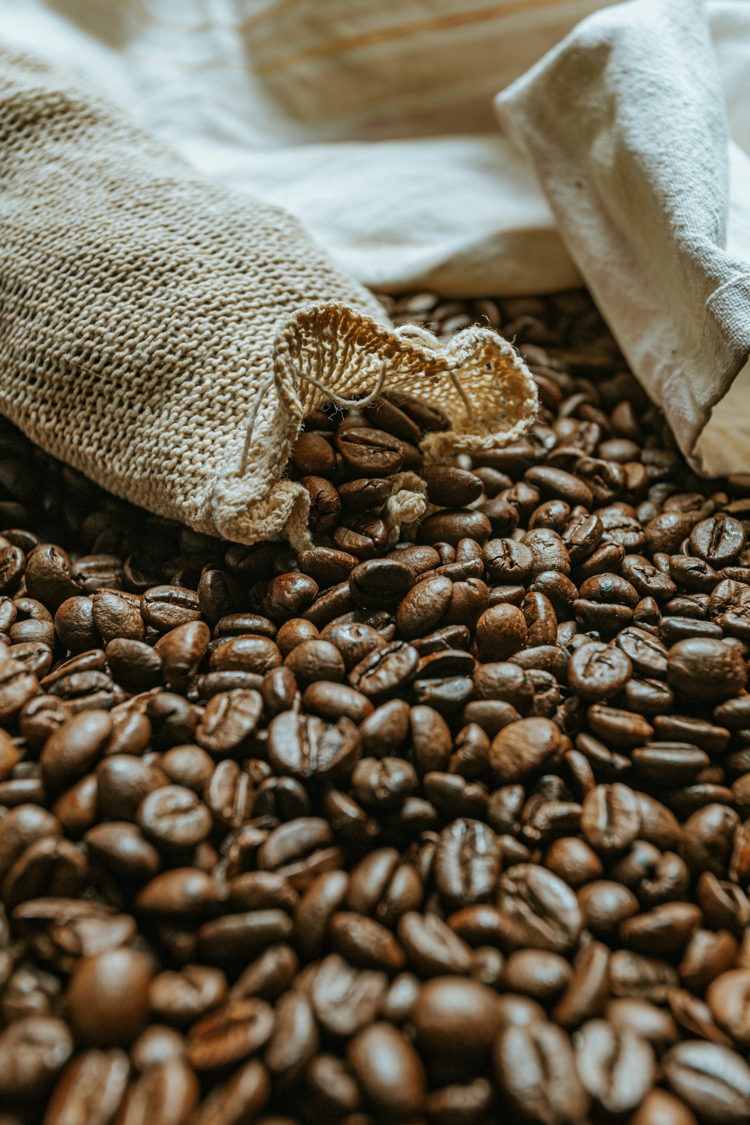 Café de especialidad
